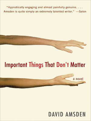 cover image of Important Things That Don't Matter